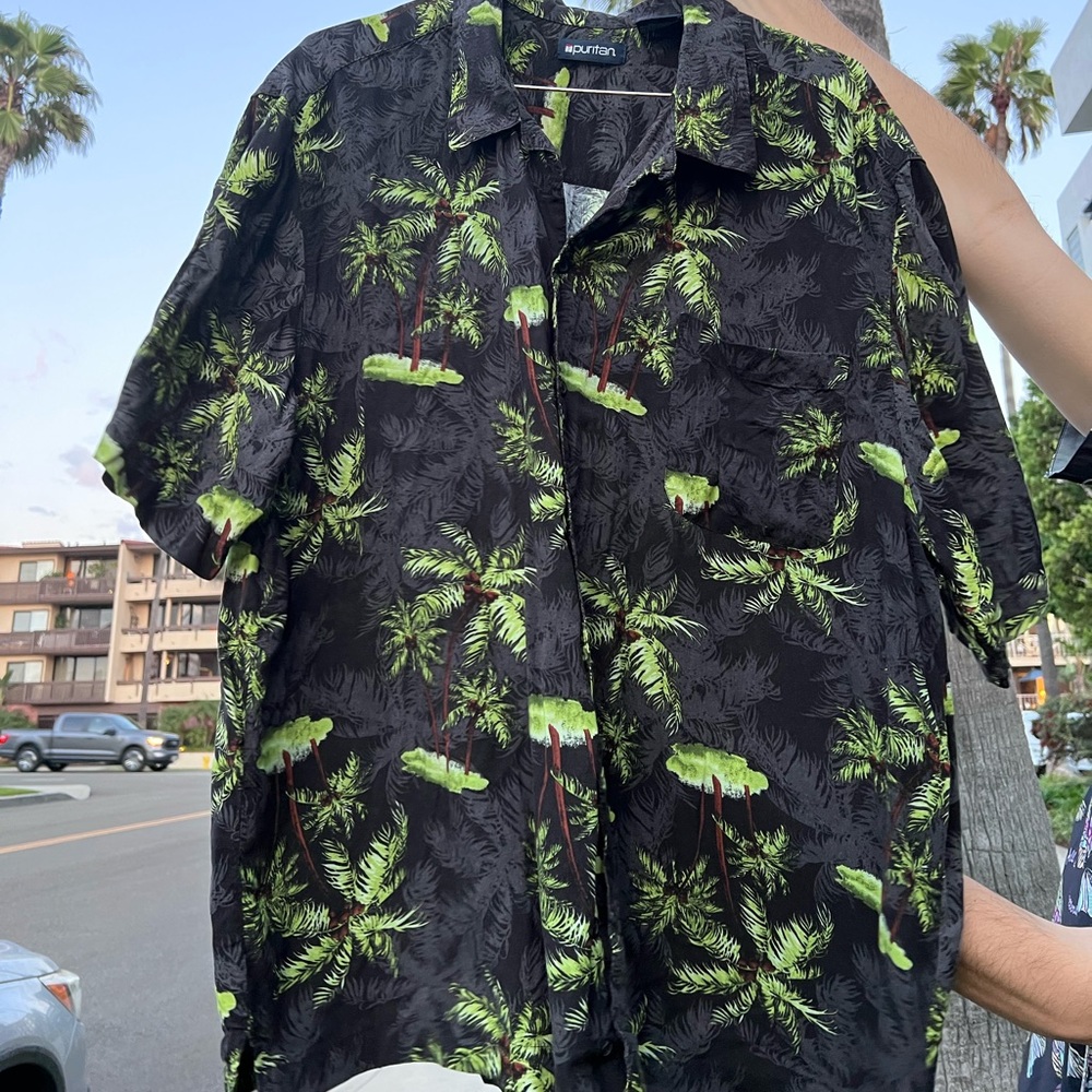 GREAT PALMS OLD SCHOOL BUTTON UP